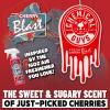 imageChemical Guys Hanging Air Freshener Variety Scent Pack 12 Pack Great for Cars Trucks SUVs RVs Home Garage Workspace Dorm Room ampamp More 4 x 3 Packs Black Frost Cherry Pina Colada  AIR40404Variety