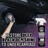imageChemical Guys TVD1041602 Bare Bones Premium Dark Shine Spray for Undercarriage Tires and Trim Safe for Cars Trucks Motorcycles RVs ampamp More16 fl oz 2 Pack16 Fl Oz Pack of 1