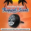 imageChemical Guys AIR40203 Vent Clip Air Freshener Forbidden Paradise Tropical Scent Great for Cars Trucks SUVs RVs Home Office Garage Dorm Room ampamp More  3 Pack1 Count Pack of 3