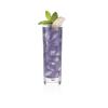 imageTea Forte Iced Ceylon Gold Tea Over Ice PitcherSize Iced Black Infusers 5 Count Pack of 1Blue Mint Nectar