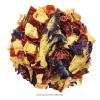 imageTea Forte Iced Ceylon Gold Tea Over Ice PitcherSize Iced Black Infusers 5 Count Pack of 1Blue Mint Nectar