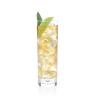 imageTea Forte Iced Ceylon Gold Tea Over Ice PitcherSize Iced Black Infusers 5 Count Pack of 1Ginger Pear White
