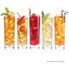 imageTea Forte Iced Ceylon Gold Tea Over Ice PitcherSize Iced Black Infusers 5 Count Pack of 1Sampler