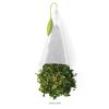 imageTea Forte Sencha Green Tea Event Box Bulk Pack of 40 Pyramid Infuser Tea Sachets for All OccasionsCitrus Mint