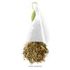 imageTea Forte Sencha Green Tea Event Box Bulk Pack of 40 Pyramid Infuser Tea Sachets for All OccasionsGinger Lemongrass
