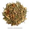 imageTea Forte Sencha Green Tea Event Box Bulk Pack of 40 Pyramid Infuser Tea Sachets for All OccasionsGinger Lemongrass