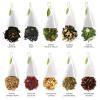imageTea Forte Green Tea Assortment Petite Presentation Box Tea Sampler Gift Set with 10 Handcrafted Pyramid Tea InfusersAssorted Classic Tea