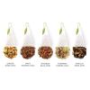 imageTea Forte Green Tea Assortment Petite Presentation Box Tea Sampler Gift Set with 10 Handcrafted Pyramid Tea InfusersChakra Collection