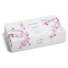 imageTea Forte Green Tea Assortment Petite Presentation Box Tea Sampler Gift Set with 10 Handcrafted Pyramid Tea InfusersCherry Blossom