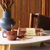 imageTea Forte Green Tea Assortment Petite Presentation Box Tea Sampler Gift Set with 10 Handcrafted Pyramid Tea InfusersFrank Lloyd Wright Collection
