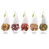 imageTea Forte Green Tea Assortment Petite Presentation Box Tea Sampler Gift Set with 10 Handcrafted Pyramid Tea InfusersHerbal Retreat
