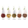 imageTea Forte Green Tea Assortment Petite Presentation Box Tea Sampler Gift Set with 10 Handcrafted Pyramid Tea InfusersHerbal Tea
