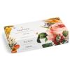 imageTea Forte Green Tea Assortment Petite Presentation Box Tea Sampler Gift Set with 10 Handcrafted Pyramid Tea InfusersJubilee