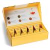 imageTea Forte Green Tea Assortment Petite Presentation Box Tea Sampler Gift Set with 10 Handcrafted Pyramid Tea InfusersParadis
