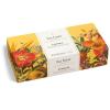 imageTea Forte Green Tea Assortment Petite Presentation Box Tea Sampler Gift Set with 10 Handcrafted Pyramid Tea InfusersParadis