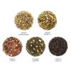 imageTea Forte Green Tea Assortment Petite Presentation Box Tea Sampler Gift Set with 10 Handcrafted Pyramid Tea InfusersParadis