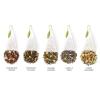 imageTea Forte Green Tea Assortment Petite Presentation Box Tea Sampler Gift Set with 10 Handcrafted Pyramid Tea InfusersSampler  Lotus