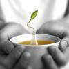 imageTea Forte Jasmine Green Loose Bulk Tea 1 Pound Pouch Organic Green Tea Tea Makes 160170 CupsBlueberry Merlot