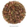 imageTea Forte Organic Herbal Tea Makes 3550 Cups 212 Ounce Loose Leaf Tea Canister Belgian MintBelgian Mint