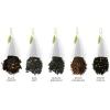 imageTea Forte Presentation Box Tea Sampler Gift Set 20 Assorted Variety Handcrafted Pyramid Tea Infuser Bags GreenBlack Tea