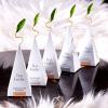 imageTea Forte Presentation Box Tea Sampler Gift Set 20 Assorted Variety Handcrafted Pyramid Tea Infuser Bags GreenWinter Chalet