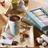 imageTea Forte Single Steeps Loose Leaf Green Tea Sampler Assorted Variety Tea Box Single Serve Pouches 15 Count Pack of 1Assorted  Wellness Tea