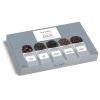 imageTea Forte Single Steeps Loose Leaf Green Tea Sampler Assorted Variety Tea Box Single Serve Pouches 15 Count Pack of 1Black Tea