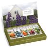 imageTea Forte Single Steeps Loose Leaf Green Tea Sampler Assorted Variety Tea Box Single Serve Pouches 15 Count Pack of 1Herbal Retreat