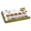 imageTea Forte Single Steeps Loose Leaf Green Tea Sampler Assorted Variety Tea Box Single Serve Pouches 15 Count Pack of 1Herbal Retreat
