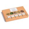 imageTea Forte Single Steeps Loose Leaf Green Tea Sampler Assorted Variety Tea Box Single Serve Pouches 15 Count Pack of 1Herbal Tea