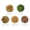 imageTea Forte Single Steeps Loose Leaf Green Tea Sampler Assorted Variety Tea Box Single Serve Pouches 15 Count Pack of 1Herbal Tea