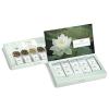 imageTea Forte Single Steeps Loose Leaf Green Tea Sampler Assorted Variety Tea Box Single Serve Pouches 15 Count Pack of 1Lotus