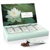 imageTea Forte Single Steeps Loose Leaf Green Tea Sampler Assorted Variety Tea Box Single Serve Pouches 15 Count Pack of 1Lotus