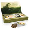 imageTea Forte Single Steeps Loose Leaf Green Tea Sampler Assorted Variety Tea Box Single Serve Pouches 15 Count Pack of 1Sampler