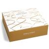 imageTea Forte Single Steeps Loose Leaf Green Tea Sampler Assorted Variety Tea Box Single Serve Pouches 15 Count Pack of 1Winter Chalet