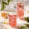 imageTea Forte Watermelon Mint Cold Brew Iced Tea Organic Caffeine Free 15 Sachet Infuser Tea Bags Steeps in Cold WaterElderflower Rose
