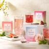 imageTea Forte Watermelon Mint Cold Brew Iced Tea Organic Caffeine Free 15 Sachet Infuser Tea Bags Steeps in Cold WaterPomegranate Vanilla