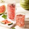 imageTea Forte Watermelon Mint Cold Brew Iced Tea Organic Caffeine Free 15 Sachet Infuser Tea Bags Steeps in Cold WaterWatermelon Mint