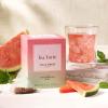 imageTea Forte Watermelon Mint Cold Brew Iced Tea Organic Caffeine Free 15 Sachet Infuser Tea Bags Steeps in Cold WaterWatermelon Mint