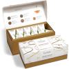 imageTea Forte Presentation Box Tea Sampler Gift Set 20 Assorted Variety Handcrafted Pyramid Tea Infuser Bags GreenWinter Chalet