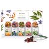 imageTea Forte Single Steeps Loose Leaf Green Tea Sampler Assorted Variety Tea Box Single Serve Pouches 15 Count Pack of 1Herbal Retreat