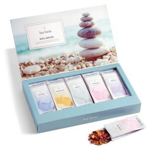 imageTea Forte Single Steeps Loose Leaf Green Tea Sampler Assorted Variety Tea Box Single Serve Pouches 15 Count Pack of 1Assorted  Wellness Tea