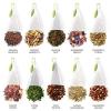 imageTea Forte Herbal Tea Assortment Tea Chest 40 Count Naturally CaffeineFree Blends Individually Wrapped Handcrafted Pyramid Infuser Tea BagsHerbal Tea