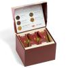 imageTea Forte Jardin 3Piece Tea Gift Set with Pink Cafe Cup with Lid Tea Tray and 10 Assorted 2 of Each Variety Organic Handcrafted Pyramid Infuser Tea BagsFrank Lloyd Wright