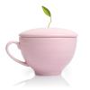 imageTea Forte Jardin 3Piece Tea Gift Set with Pink Cafe Cup with Lid Tea Tray and 10 Assorted 2 of Each Variety Organic Handcrafted Pyramid Infuser Tea BagsJardin