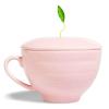 imageTea Forte Jardin 3Piece Tea Gift Set with Pink Cafe Cup with Lid Tea Tray and 10 Assorted 2 of Each Variety Organic Handcrafted Pyramid Infuser Tea BagsMariposa