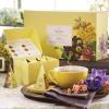 imageTea Forte Jardin 3Piece Tea Gift Set with Pink Cafe Cup with Lid Tea Tray and 10 Assorted 2 of Each Variety Organic Handcrafted Pyramid Infuser Tea BagsSoleil