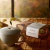 imageTea Forte Pumpkin Spice Starter Set  Petite Presentation Box  Cafe Cup Tea Infuser Gift Set with Infuser Cup