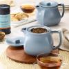 imageTea Forte Terra Stoneware Teapot with Infuser and Lid Frank Lloyd Wright 20 oz Sienna Stoneware Pot for Steeping Loose Leaf Tea Dishwasher ampamp Microwave SafeStone Blue