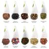 imageTea Forte Winter Chalet Mini Advent Calendar 12 Days of Cozy Holiday Tea Gift Set of 12 Infuser Tea Bags with Numbered Doors Variety Pack of Assorted Premium Loose Leaf Tea BagsWinter Chalet